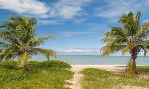 Praia do Miriri Um Refúgio Paradisíaco em Rio Tinto, Paraíba