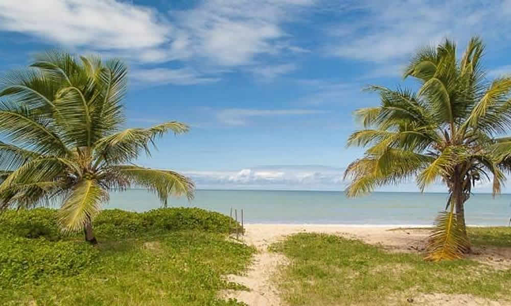 Praia do Miriri Um Refúgio Paradisíaco em Rio Tinto, Paraíba