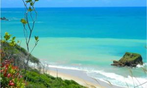 Praia de Arapuca um tesouro escondido no litoral sul da Paraíba