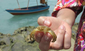 Barra de Camaratuba com crianças